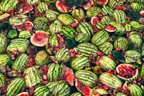 watermelon waste on chandpur riverbank, bangladesh - food stock pictures, royalty-free photos & images