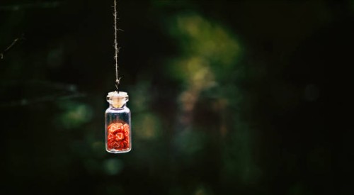 we love to love - garden decoration stock pictures, royalty-free photos & images