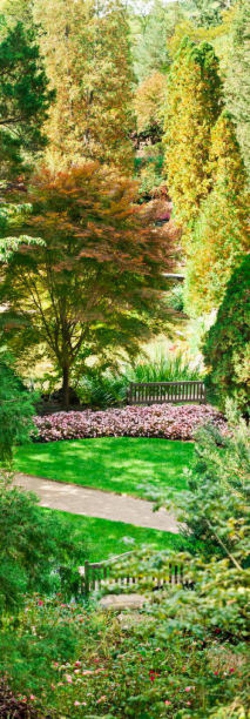 well designed garden - ix - garden decoration stock pictures, royalty-free photos & images