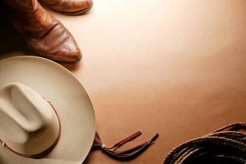 western theme - fashion stock pictures, royalty-free photos & images