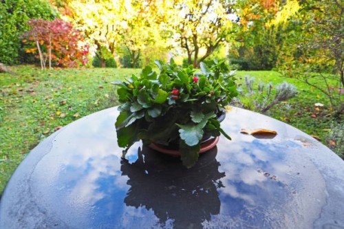 wet garden table reflecting cloudy sky - garden decoration photos et images de collection