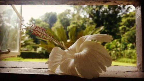 when you stand still and life moves on - garden decoration stock-fotos und bilder