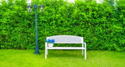 white bench with the bush background. white chair in the park. relaxation concept in the garden in morning time - garden decoration stock pictures, royalty-free photos & images
