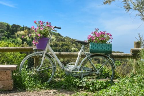 white bicycle decorated with flowers in bloom in rural setting around florence, tuscany, italy - garden decoration stock pictures, royalty-free photos & images