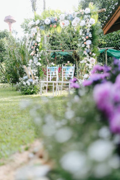 white chairs in wedding. - garden decoration stock pictures, royalty-free photos & images