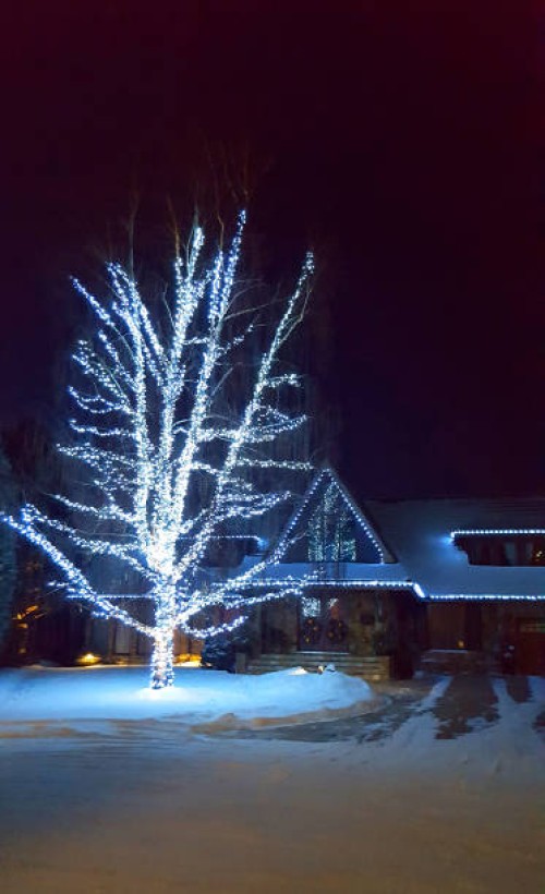 white fairy lights on tree and home in winter - garden decoration stock pictures, royalty-free photos & images