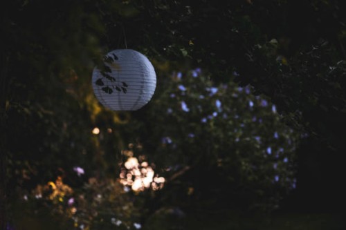 white lampion hanging on tree in garden. - garden decoration stock pictures, royalty-free photos & images