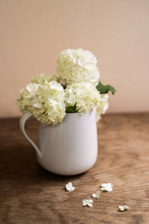 white lilac bouquet laid on wooden table. studio shot. - garden decoration stock pictures, royalty-free photos & images
