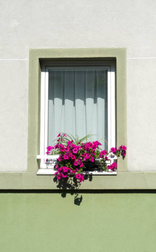 white window with pink petunia flowers pot - garden decoration stock pictures, royalty-free photos & images