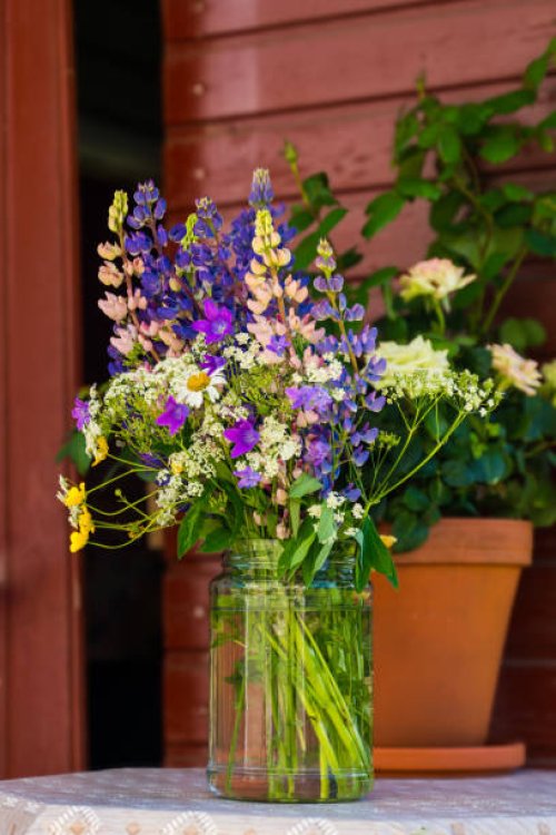 wildflower - garden decoration stock pictures, royalty-free photos & images