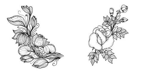 wildflower line art set. flower doodle botanical collection. herbal and meadow plants, grass. vector illustration isolated on white background. chamomile, clover, daisy simple hand drawn elements. - garden decoration stock il