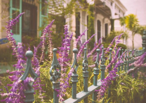 williamsburg,usa - garden decoration stock-fotos und bilder