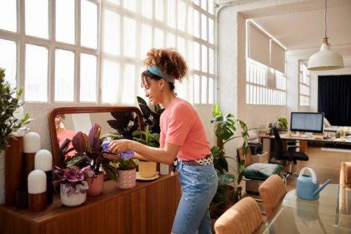 woman cleaning leaves of plotted plants at home - home decoration stock pictures, royalty-free photos & images