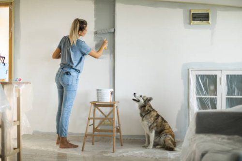 woman doing diy project in apartment - home decoration stock pictures, royalty-free photos & images