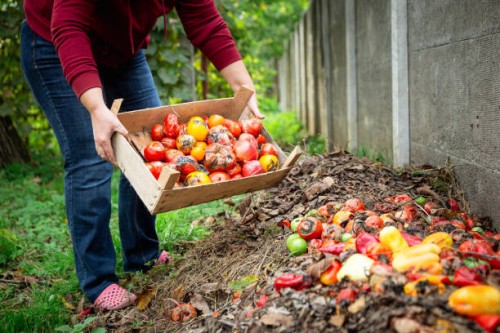 woman emptying food waste onto garden compost heap - food stock pictures, royalty-free photos & images