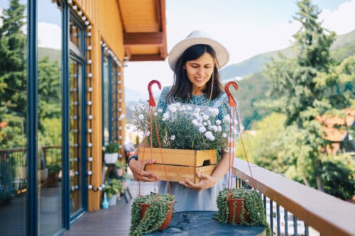 woman enjoys taking care of her houseplants on the terrace - garden decoration stock pictures, royalty-free photos & images
