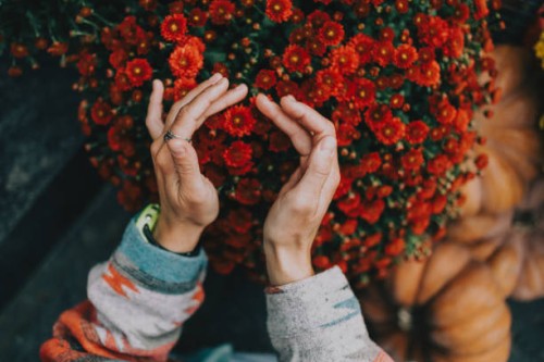 woman gently touching red chrysanthemum flowers in garden close up - garden decoration stock pictures, royalty-free photos & images