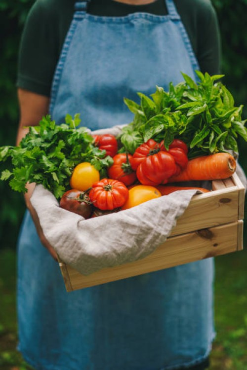 woman holding a crate with organic vegetables - food stock pictures, royalty-free photos & images