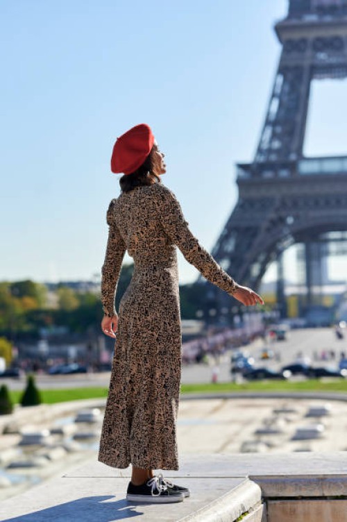 woman in long dress looking towards the eiffel tower - fashion stock pictures, royalty-free photos & images
