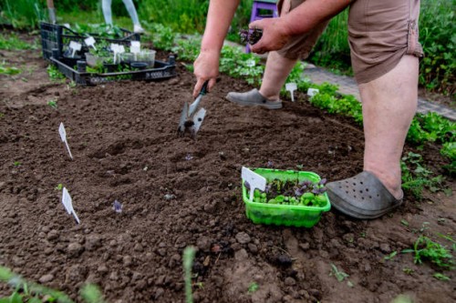 woman is engaged in a garden bed and digs the ground - garden decoration photos et images de collection