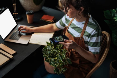 woman managing her online plant shop, typing on laptop and checking pictures on smartphone - home decoration stock pictures, royalty-free photos & images