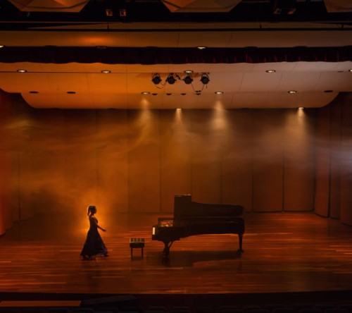 woman pianist preparing her recital in the concert hall - concert stock pictures, royalty-free photos & images