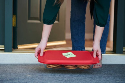 woman receiving care package on front step of home - food stock pictures, royalty-free photos & images