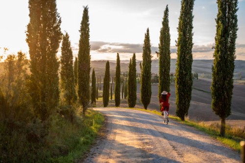 woman riding a bicycle during sunset in tuscany - fashion stock pictures, royalty-free photos & images