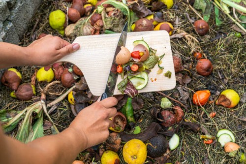 woman's hands throwing food scraps in the compost heap. - food stock pictures, royalty-free photos & images