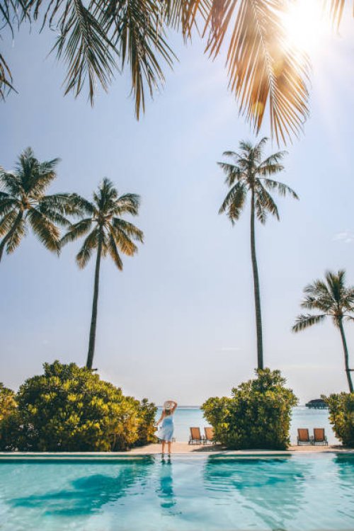 woman standing by maldives swimming pool at tropical island resort hotel beach with palm trees - travel stock pictures, royalty-free photos & images