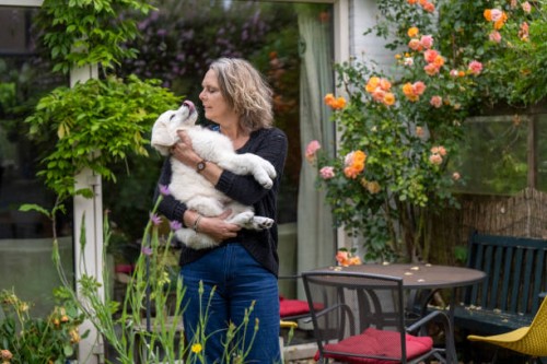 woman standing in a garden holding a white dog with blooming roses and outdoor furniture in the background - garden decoration photos et images de collection