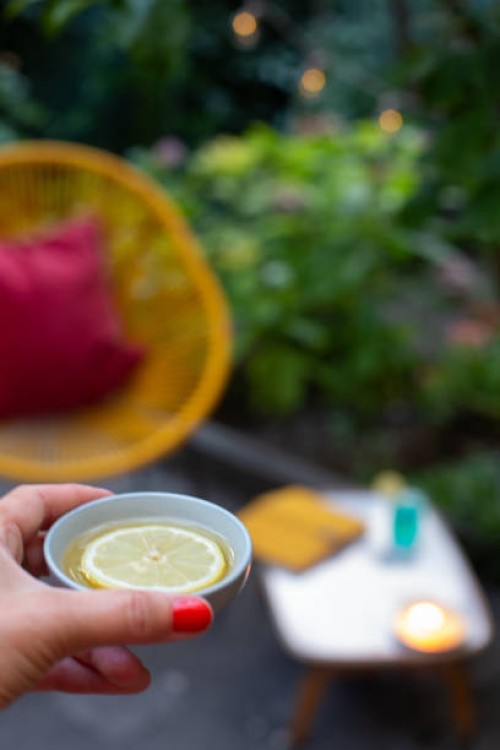 woman using lemon in vinegar as mosquito repellent - garden decoration photos et images de collection