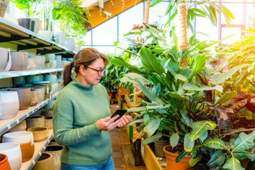 woman using phone in plant nursery store to buy plants - garden decoration stock pictures, royalty-free photos & images