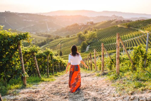 woman walking in vineyards enjoying the sunset, langhe region, piedmont, italy. unesco site - travel stock pictures, royalty-free photos & images