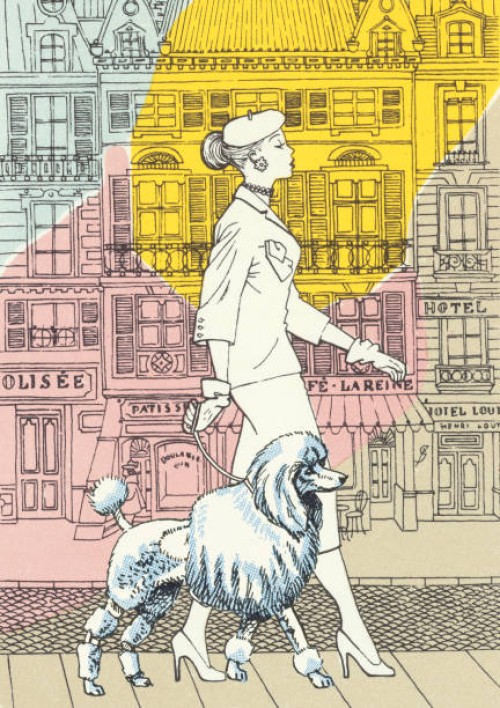 woman walking poodle in city - fashion stock-grafiken, -clipart, -cartoons und -symbole