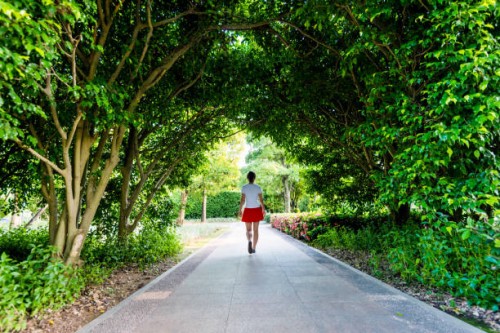 woman walking through green natural tunnel - garden decoration stock pictures, royalty-free photos & images