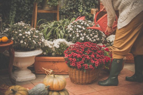 woman watering flowers and plants on back porch - garden decoration stock pictures, royalty-free photos & images