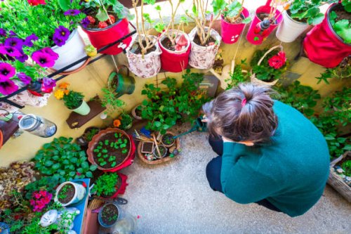 woman watering plants and flowers in balcony garden - garden decoration stock pictures, royalty-free photos & images