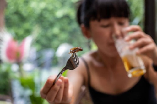 woman with fork going to eat fried insect - food stock pictures, royalty-free photos & images