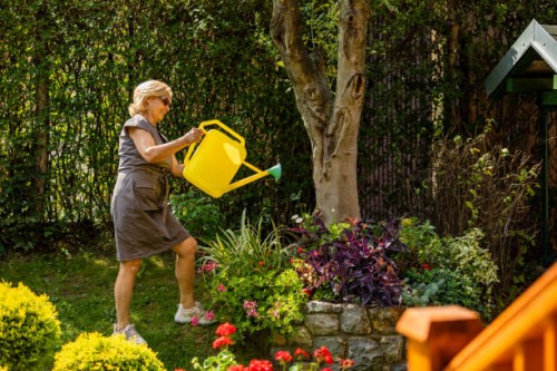 woman working in her garden with a plants. - garden decoration stock pictures, royalty-free photos & images