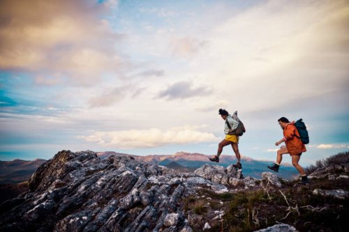 women hikers embracing the untamed beauty of tasmania through exhilarating bushwalking. - travel stock pictures, royalty-free photos & images