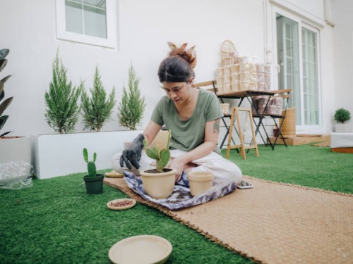 women planting tree. - garden decoration stock pictures, royalty-free photos & images