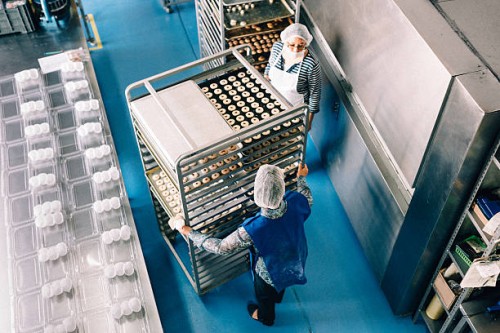 women working together at bakery workshop - food stock pictures, royalty-free photos & images