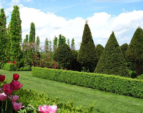 wonderful garden - garden decoration stock pictures, royalty-free photos & images