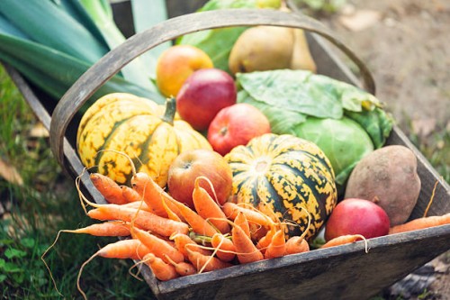 wooden basket full of fresh, organic vegetables - food stock pictures, royalty-free photos & images