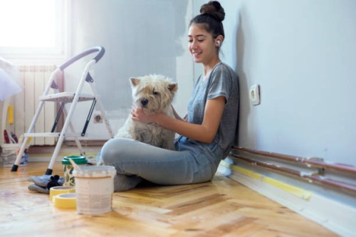 work and love - home decoration stock pictures, royalty-free photos & images