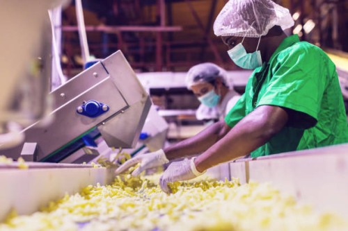 workers checking the quality of freshly prepared snacks at a factory in africa - food stock pictures, royalty-free photos & images