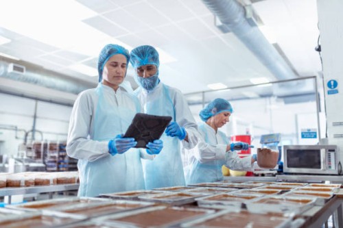 workers inspecting tray bake cakes in cake factory - food stock pictures, royalty-free photos & images