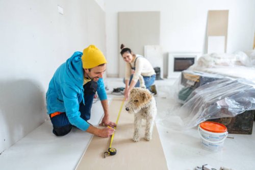 working together - home decoration stock pictures, royalty-free photos & images