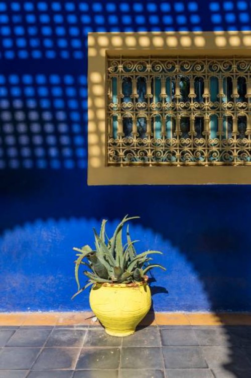 Yellow flower-pot aganinst blue wall, Jardin Majorelle Garden, Marrakesh, Morocco.